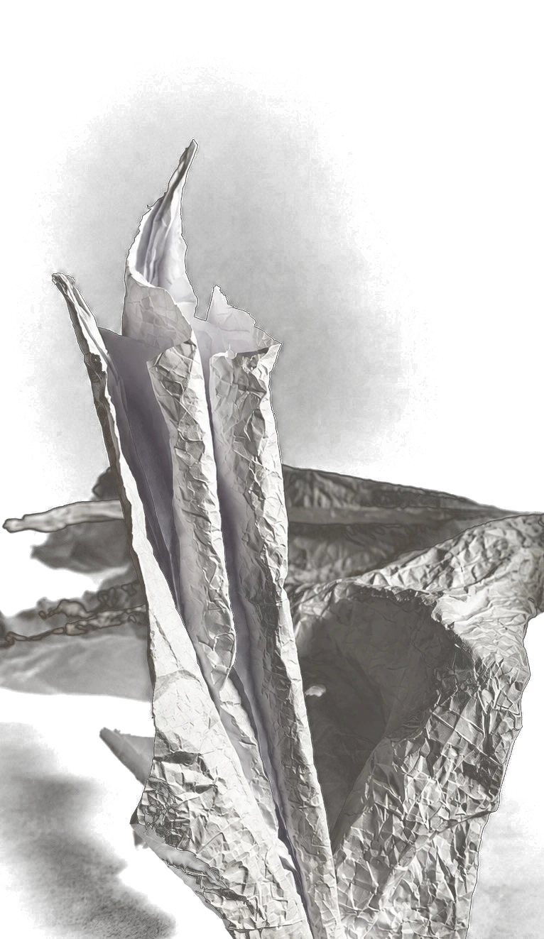 Paper dragon wing articulated into a first pose