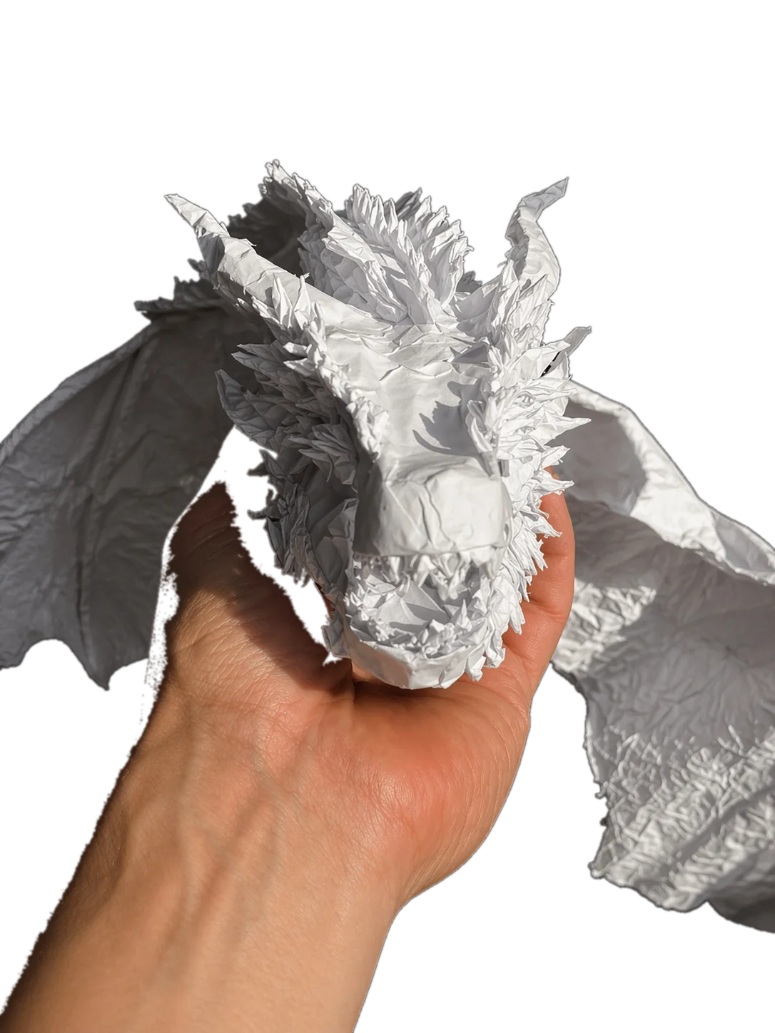 DROGON HEAD STUDY