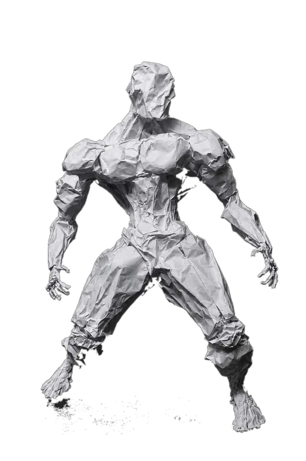 MUSCLE FRONT CONCEPT