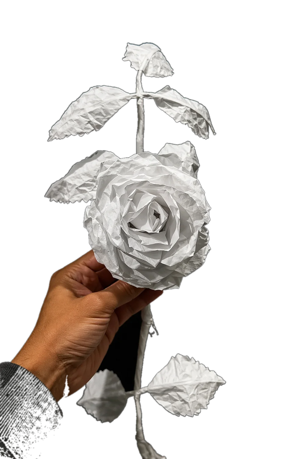 FINE ART DECOR ROSE