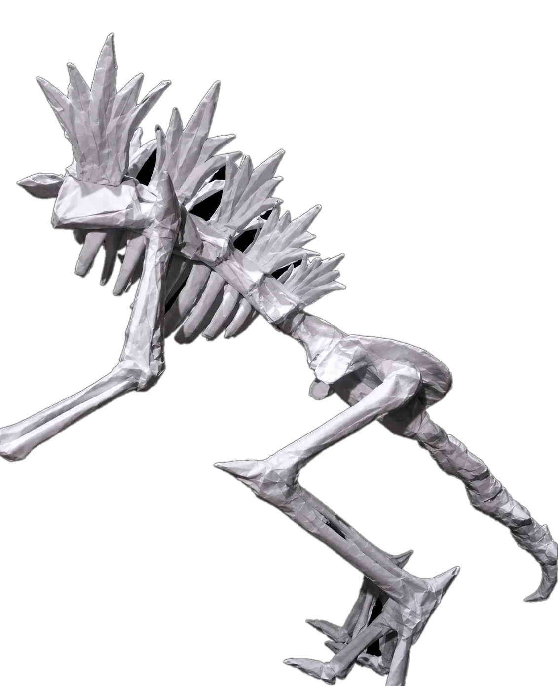 SKELETON INTERIOR ANATOMY